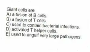 Giant cells are
A) a fusion of B cells.
B) a fusion of T cells.
C) used to contain bacterial infections.
D) activated T helper cells.
E) used to engulf very large pathogens.