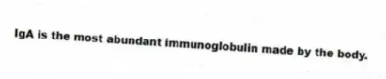 IgA is the most abundant immunoglobulin made by the body.