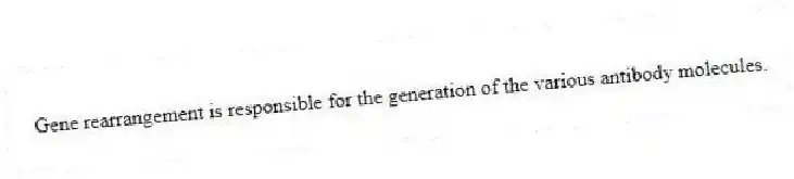 Gene rearrangement is responsible for the generation of the various antibody molecules.