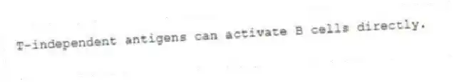 T-independent antigens can activate B cells directly.