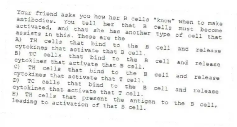 Your friend asks you how her B cells "know" when to make antibodies. You tell her that B cells must become activated, and that she has another type of cell that assists in this. These are the
A) TH cells that bind to the B cell and release cytokines that activate that B cell.
B) TC cells that bind to the B cell and release cytokines that activate that B cell.
C) TH cells that bind to the B cell and release cytokines that activate that T cell.
D) TC cells that bind to the B cell and release cytokines that activate that T cell.
E) TH cells that present the antigen to the B cell, leading to activation of that B cell.