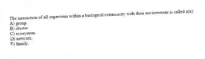 The interaction of all organisms within a biological community with their environment is called a(n)
A) group.
B) cluster.
C) ecosystem.
D) network.
E) family.