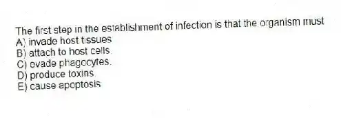 The first step in the establishment of infection is that the organism must
A) invade host tissues.
B) attach to host cells.
C) evade phagocytes.
D) produce toxins.
E) cause apoptosis.