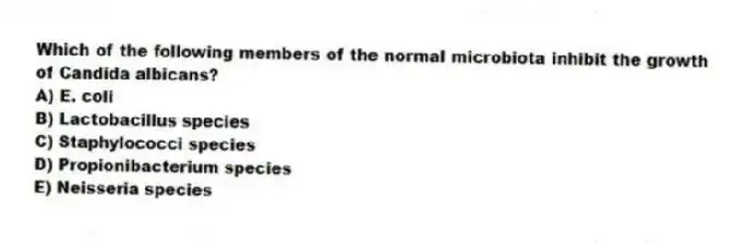 Which of the following members of the normal microbiota inhibit the growth of Candida albicans?
A) E. coli
B) Lactobacillus species
C) Staphylococci species
D) Propionibacterium species
E) Neisseria species