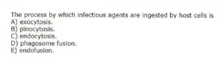 The process by which infectious agents are ingested by host cells is
A) exocytosis.
B) pinocytosis.
C) endocytosis.
D) phagosome fusion.
E) endofusion.
