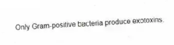 Only Gram-positive bacteria produce exotoxins.