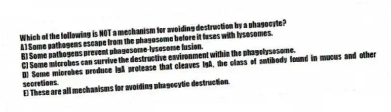Which of the following is NOT a mechanism for avoiding destruction by a phagocyte?
A) Some pathogens escape from the phagosome before it fuses with lysosomes.
B) Some pathogens prevent phagosome-lysosome fusion.
C) Some microbes can survive the destructive environment within the phagolysosome.
D) Some microbes produce IgA protease that cleaves IgA, the class of antibody found in mucus and other secretions.
E) These are all mechanisms for avoiding phagocytic destruction.