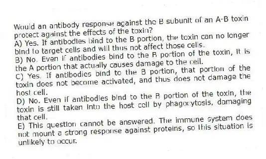 Would an antibody response against the B subunit of an A-B toxin protect against the effects of the toxin?
A) Yes. If antibodies bind to the B portion, the toxin can no longer bind to target cells and will thus not affect those cells.
B) No. Even if antibodies bind to the B portion of the toxin, it is the A portion that actually causes damage to the cell.
C) Yes. If antibodies bind to the B portion, that portion of the toxin does not become activated, and thus does not damage the host cell.
D) No. Even if antibodies bind to the B portion of the toxin, the toxin is still taken into the host cell by phagocytosis, damaging that cell.
E) This question cannot be answered. The immune system does not mount a strong response against proteins, so this situation is unlikely to occur.