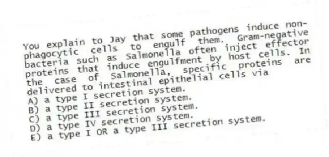 You explain to Jay that some pathogens induce non-phagocytic cells to engulf them. Gram-negative bacteria such as Salmonella often inject effector proteins that induce engulfment by host cells. In the case of Salmonella, specific proteins are delivered to intestinal epithelial cells via
A) a type I secretion system.
B) a type II secretion system.
C) a type III secretion system.
D) a type IV secretion system.
E) a type I OR a type III secretion system.