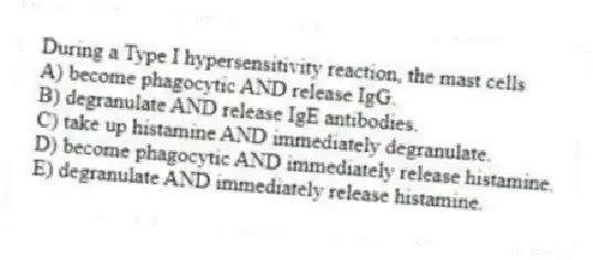 During a Type I hypersensitivity reaction, the mast cells
A) become phagocytic AND release IgG.
B) degranulate AND release IgE antibodies.
C) take up histamine AND immediately degranulate.
D) become phagocytic AND immediately release histamine.
E) degranulate AND immediately release histamine.