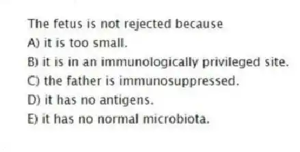 The fetus is not rejected because
A) it is too small.
B) it is in an immunologically privileged site.
C) the father is immunosuppressed.
D) it has no antigens.
E) it has no normal microbiota.