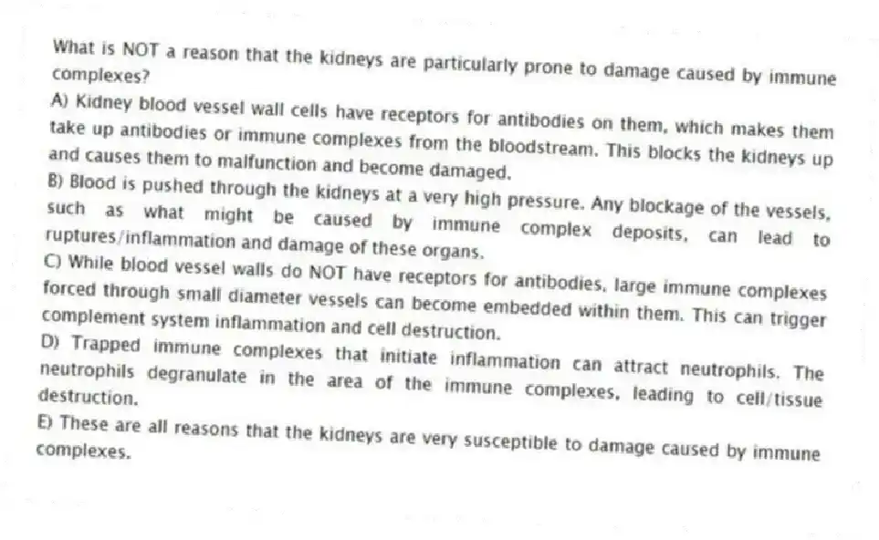 What is NOT a reason that the kidneys are particularly prone to damage caused by immune complexes?
A) Kidney blood vessel wall cells have receptors for antibodies on them, which makes them take up antibodies or immune complexes from the bloodstream. This blocks the kidneys up and causes them to malfunction and become damaged.
B) Blood is pushed through the kidneys at a very high pressure. Any blockage of the vessels, such as what might be caused by immune complex deposits, can lead to ruptures/inflammation and damage of these organs.
C) While blood vessel walls do NOT have receptors for antibodies, large immune complexes forced through small diameter vessels can become embedded within them. This can trigger complement system inflammation and cell destruction.
D) Trapped immune complexes that initiate inflammation can attract neutrophils. The neutrophils degranulate in the area of the immune complexes, leading to cell/tissue destruction.
E) These are all reasons that the kidneys are very susceptible to damage caused by immune complexes.