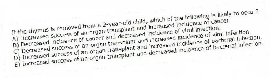 If the thymus is removed from a 2-year-old child, which of the following is likely to occur?
A) Decreased success of an organ transplant and increased incidence of cancer.
B) Decreased incidence of cancer and decreased incidence of viral infection.
C) Decreased success of an organ transplant and increased incidence of viral infection.
D) Increased success of an organ transplant and increased incidence of bacterial infection.
E) Increased success of an organ transplant and decreased incidence of bacterial infection.