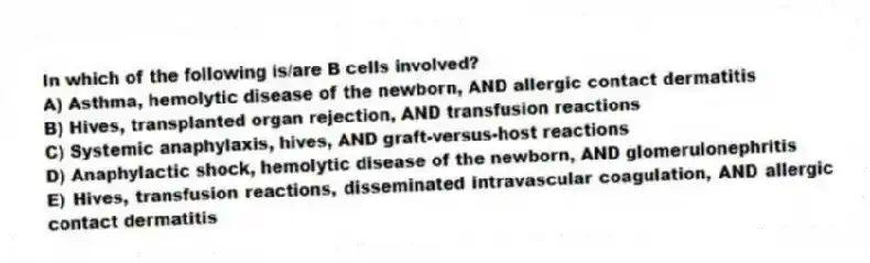 In which of the following is/are B cells involved?
A) Asthma, hemolytic disease of the newborn, AND allergic contact dermatitis
B) Hives, transplanted organ rejection, AND transfusion reactions
C) Systemic anaphylaxis, hives, AND graft-versus-host reactions
D) Anaphylactic shock, hemolytic disease of the newborn, AND glomerulonephritis
E) Hives, transfusion reactions, disseminated intravascular coagulation, AND allergic contact dermatitis