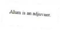 Alum is an adjuvant.