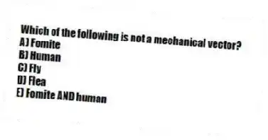 Which of the following is not a mechanical vector?
A) Fomite
B) Human
C) Fly
D) Flea
E) Fomite AND human