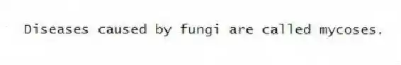 Diseases caused by fungi are called mycoses.