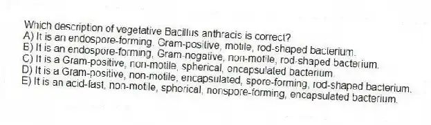 Which description of vegetative Bacillus anthracis is correct?
A) It is an endospore-forming, Gram-positive, motile, rod-shaped bacterium.
B) It is an endospore-forming, Gram-negative, non-motile, rod-shaped bacterium.
C) It is a Gram-positive, non-motile, spherical, encapsulated bacterium.
D) It is a Gram-positive, non-motile, encapsulated, spore-forming, rod-shaped bacterium.
E) It is an acid-fast, non-motile, spherical, nonspore-forming, encapsulated bacterium.