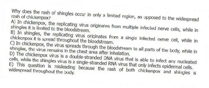 Why does the rash of shingles occur in only a limited region, as opposed to the widespread rash of chickenpox?
A) In chickenpox, the replicating virus originates from multiple infected nerve cells, while in shingles it is limited to the bloodstream.
B) In shingles, the replicating virus originates from a single infected nerve cell, while in chickenpox it is spread throughout the bloodstream.
C) In chickenpox, the virus spreads through the bloodstream to all parts of the body, while in shingles, the virus remains in the chest area after inhalation.
D) The chickenpox virus is a double-stranded DNA virus that is able to infect any nucleated cells, while the shingles virus is a single-stranded RNA virus that only infects epidermal cells.
E) This question is misleading because the rash of both chickenpox and shingles is widespread throughout the body.