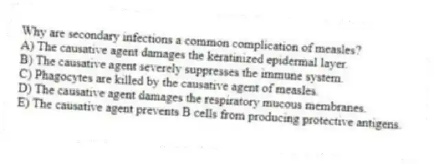 Why are secondary infections a common complication of measles?
A) The causative agent damages the keratinized epidermal layer.
B) The causative agent severely suppresses the immune system.
C) Phagocytes are killed by the causative agent of measles.
D) The causative agent damages the respiratory mucous membranes.
E) The causative agent prevents B cells from producing protective antigens.