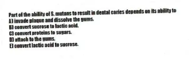 Part of the ability of S. mutans to result in dental caries depends on its ability to
A) invade plaque and dissolve the gums.
B) convert sucrose to lactic acid.
C) convert proteins to sugars.
D) attach to the gums.
E) convert lactic acid to sucrose.