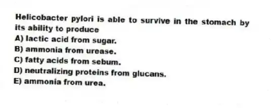 Helicobacter pylori is able to survive in the stomach by its ability to produce
A) lactic acid from sugar.
B) ammonia from urease.
C) fatty acids from sebum.
D) neutralizing proteins from glucans.
E) ammonia from urea.