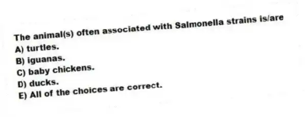 The animal(s) often associated with Salmonella strains is/are
A) turtles.
B) iguanas.
C) baby chickens.
D) ducks.
E) All of the choices are correct.