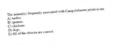 The animal(s) frequently associated with Campylobacter jejuni is/are
A) turtles.
B) iguanas.
C) chickens.
D) dogs.
E) All of the choices are correct.