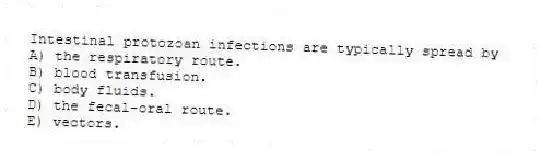 Intestinal protozoan infections are typically spread by
A) the respiratory route.
B) blood transfusion.
C) body fluids.
D) the fecal-oral route.
E) vectors.