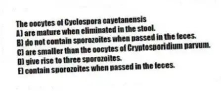 The oocytes of Cyclospora cayetanensis
A) are mature when eliminated in the stool.
B) do not contain sporozoites when passed in the feces.
C) are smaller than the oocytes of Cryptosporidium parvum.
D) give rise to three sporozoites.
E) contain sporozoites when passed in the feces.