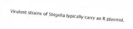 Virulent strains of Shigella typically carry an R plasmid.