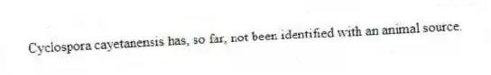 Cyclospora cayetanensis has, so far, not been identified with an animal source.