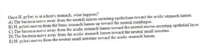 Once H. pylori is in a host's stomach, what happens?
A) The bacteria move away from the neutral mucus-secreting epithelium toward the acidic stomach lumen.
B) H. pylori moves from the basic stomach lumen up toward the neutral esophagus.
C) The bacteria move away from the acidic stomach lumen toward the neutral mucus-secreting epithelial layer.
D) The bacteria move away from the acidic stomach lumen toward the neutral small intestine.
E) H. pylori moves from the neutral small intestine toward the acidic stomach lumen.