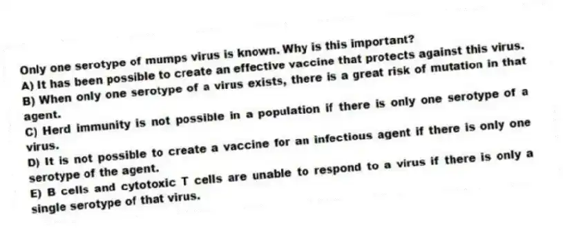 Only one serotype of mumps virus is known. Why is this important?
A) It has been possible to create an effective vaccine that protects against this virus.
B) When only one serotype of a virus exists, there is a great risk of mutation in that agent.
C) Herd immunity is not possible in a population if there is only one serotype of a virus.
D) It is not possible to create a vaccine for an infectious agent if there is only one serotype of the agent.
E) B cells and cytotoxic T cells are unable to respond to a virus if there is only a single serotype of that virus.