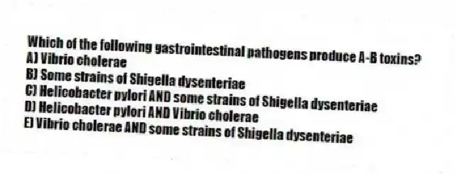Which of the following gastrointestinal pathogens produce A-B toxins?
A) Vibrio cholerae
B) Some strains of Shigella dysenteriae
C) Helicobacter pylori AND some strains of Shigella dysenteriae
D) Helicobacter pylori AND Vibrio cholerae
E) Vibrio cholerae AND some strains of Shigella dysenteriae
