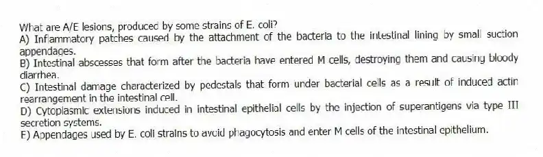 What are A/E lesions, produced by some strains of E. coli?
A) Inflammatory patches caused by the attachment of the bacteria to the intestinal lining by small suction appendages.
B) Intestinal abscesses that form after the bacteria have entered M cells, destroying them and causing bloody diarrhea.
C) Intestinal damage characterized by pedestals that form under bacterial cells as a result of induced actin rearrangement in the intestinal cell.
D) Cytoplasmic extensions induced in intestinal epithelial cells by the injection of superantigens via type III secretion systems.
E) Appendages used by E. coli strains to avoid phagocytosis and enter M cells of the intestinal epithelium.