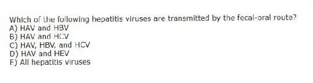 Which of the following hepatitis viruses are transmitted by the fecal-oral route?
A) HAV and HBV
B) HAV and HCV
C) HAV, HBV, and HCV
D) HAV and HEV
E) All hepatitis viruses