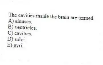The cavities inside the brain are termed
A) sinuses.
B) ventricles.
C) cavities.
D) sulci.
E) gyri.