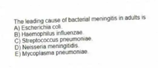The leading cause of bacterial meningitis in adults is
A) Escherichia coli.
B) Haemophilus influenzae.
C) Streptococcus pneumoniae.
D) Neisseria meningitidis.
E) Mycoplasma pneumoniae.
