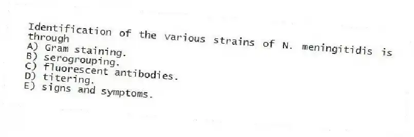 Identification of the various strains of N. meningitidis is through
A) Gram staining.
B) serogrouping.
C) fluorescent antibodies.
D) titering.
E) signs and symptoms.