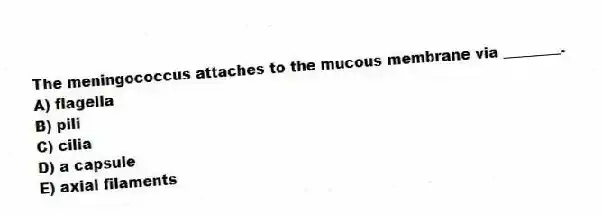 The meningococcus attaches to the mucous membrane via ________.
A) flagella
B) pili
C) cilia
D) a capsule
E) axial filaments