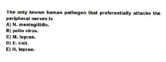 The only known human pathogen that preferentially attacks the peripheral nerves is
A) N. meningitidis.
B) polio virus.
C) M. leprae.
D) E. coli.
E) H. leprae.