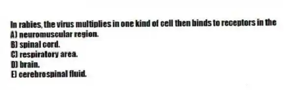 In rabies, the virus multiplies in one kind of cell then binds to receptors in the
A) neuromuscular region.
B) spinal cord.
C) respiratory area.
D) brain.
E) cerebrospinal fluid.