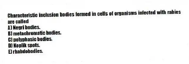 Characteristic inclusion bodies formed in cells of organisms infected with rabies are called
A) Negri bodies.
B) metachromatic bodies.
C) polyphasic bodies.
D) Koplik spots.
E) rhabdobodies.