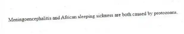 Meningoencephalitis and African sleeping sickness are both caused by protozoans.
