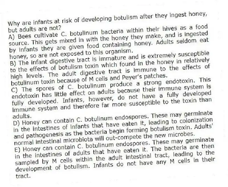 Why are infants at risk of developing botulism after they ingest honey, but adults are not?
A) Bees cultivate C. botulinum bacteria within their hives as a food source. This gets mixed in with the honey they make, and is ingested by infants they are given food containing honey. Adults seldom eat honey, so are not exposed to this organism.
B) The infant digestive tract is immature and is extremely susceptible to the effects of botulism toxin which found in the honey in relatively high levels. The adult digestive tract is immune to the effects of botulinum toxin because of M cells and Peyer's patches.
C) The spores of C. botulinum produce a strong endotoxin. This endotoxin has little effect on adults because their immune system is fully developed. Infants, however, do not have a fully developed immune system and therefore far more susceptible to the toxin than adults.
D) Honey can contain C. botulinum endospores. These may germinate in the intestines of infants that have eaten it, leading to colonization and pathogenesis as the bacteria begin forming botulism toxin. Adults' normal intestinal microbiota will out-compete the new microbes.
E) Honey can contain C. botulinum endospores. These may germinate in the intestines of adults that have eaten it. The bacteria are then sampled by M cells within the adult intestinal tract, leading to the development of botulism. Infants do not have any M cells in their tract.