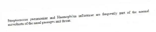 Streptococcus pneumoniae and Haemophilus influenzae are frequently part of the normal microbiota of the nasal passages and throat.