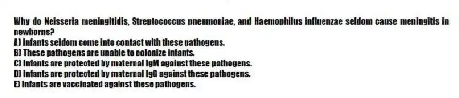 Why do Neisseria meningitidis, Streptococcus pneumoniae, and Haemophilus influenzae seldom cause meningitis in newborns?
A) Infants seldom come into contact with these pathogens.
B) These pathogens are unable to colonize infants.
C) Infants are protected by maternal IgM against these pathogens.
D) Infants are protected by maternal IgG against these pathogens.
E) Infants are vaccinated against these pathogens.