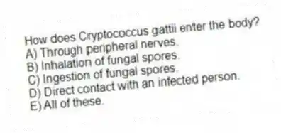How does Cryptococcus gattii enter the body?
A) Through peripheral nerves.
B) Inhalation of fungal spores.
C) Ingestion of fungal spores.
D) Direct contact with an infected person.
E) All of these.