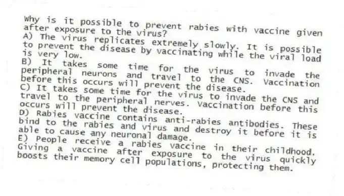 Why is it possible to prevent rabies with vaccine given after exposure to the virus?
A) The virus replicates extremely slowly. It is possible to prevent the disease by vaccinating while the viral load is very low.
B) It takes some time for the virus to invade the peripheral neurons and travel to the CNS. Vaccination before this occurs will prevent the disease.
C) It takes some time for the virus to invade the CNS and travel to the peripheral nerves. Vaccination before this occurs will prevent the disease.
D) Rabies vaccine contains anti-rabies antibodies. These bind to the rabies and virus and destroy it before it is able to cause any neuronal damage.
E) People receive a rabies vaccine in their childhood. Giving a vaccine after exposure to the virus quickly boosts their memory cell populations, protecting them.